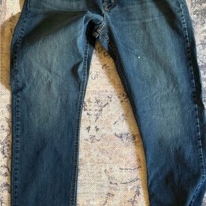 Wrangler Men's Blue Jeans